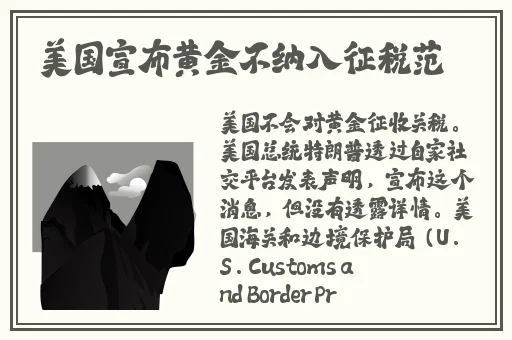 公园之夜未删减版全文免费阅读